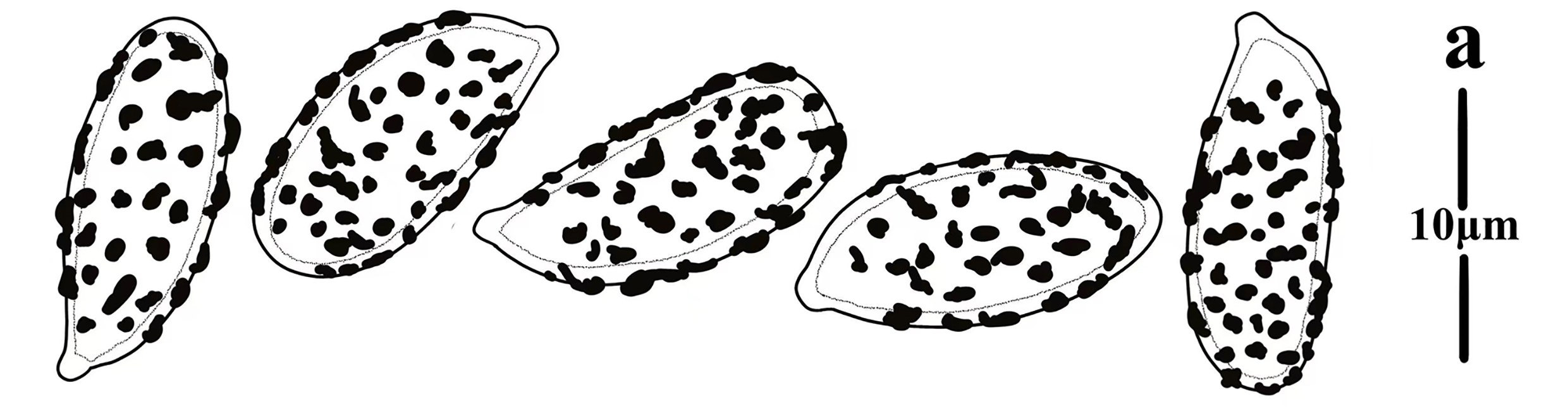 Figure 100